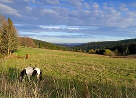 Ferienhaus in Altenfeld Thuringen mit Garten