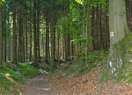 Ferienhaus in Altenfeld Thuringen mit Garten