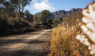 Wilder Tasmania