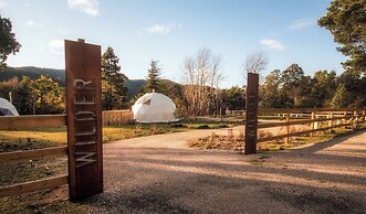 Wilder Tasmania