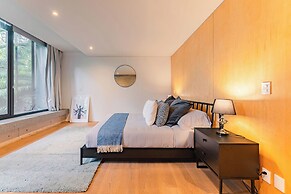 Polanco Penthouses Rooftop 24h Security