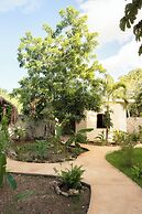 Casa Cactus Buenavista