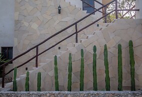 Casa Cactus Buenavista