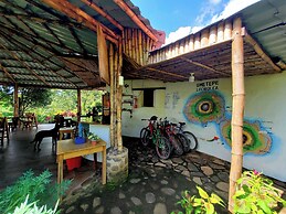 The Jungle