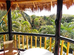 Casa Gatos