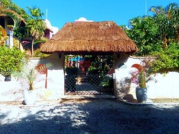 Casa Gatos