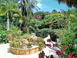 Casa Gatos