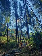 Art Mile Kalimpong