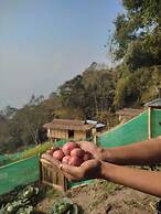 Art Mile Kalimpong