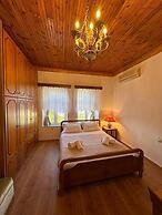 Amalia's House