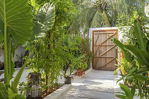 Oasis Dhigurah
