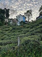 Mount Bashera Boutique Hotel