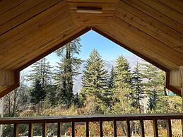 Timber nest Cottage