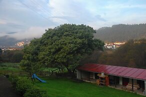 LAS MIMOSAS DEL NALON