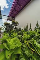 La Casa en las Nubes