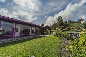 La Casa en las Nubes