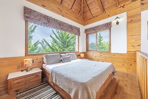Echor Hill Farm Cottages Palampur