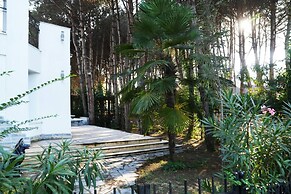 The Beachfront Villa Garden Beach Access