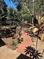 Finca Avellanas