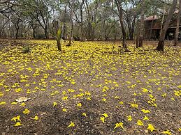 Finca Avellanas