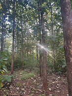 Finca Avellanas