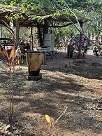 Finca Avellanas