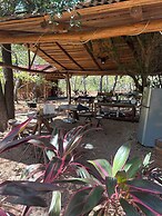 Finca Avellanas