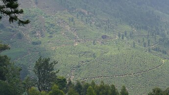 Mount Valley Resort - A Secluded Getaway