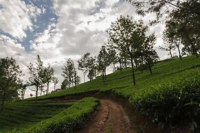 Mount Valley Resort - A Secluded Getaway