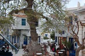 Tinos Experience the House