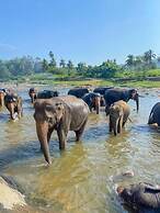 Elepath Lodge - Pinnawala