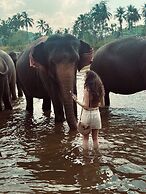 Elepath Lodge - Pinnawala