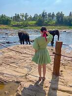 Elepath Lodge - Pinnawala