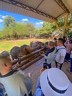 Elepath Lodge - Pinnawala