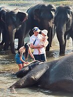 Elepath Lodge - Pinnawala