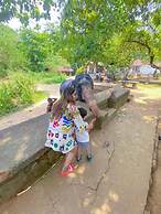 Elepath Lodge - Pinnawala