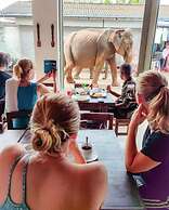 Elepath Lodge - Pinnawala