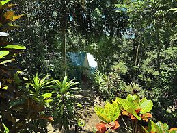 Oro Verde Lodge