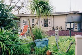 les agapanthes