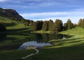 Chalet in Rougemont Near Ski Slopes