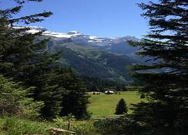 Contemporary Swiss Escape