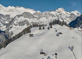 Beautiful Alpine Luxury Flat in Rougemont