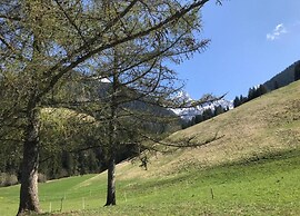Beautiful Alpine Luxury Flat in Rougemont