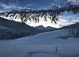 Beautiful Alpine Luxury Flat in Rougemont