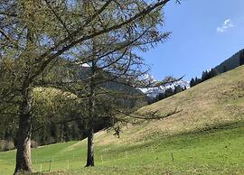 Luxurious Alpine Flat With Hotel Amenities
