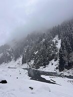 Hotel Mountview Sonamarg