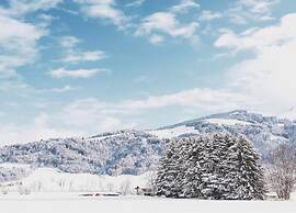 Apartment in Leutasch Near Ski Trails