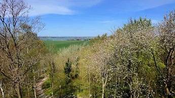 Ferienhaus Lotsenhaus am Breetzer Bodden