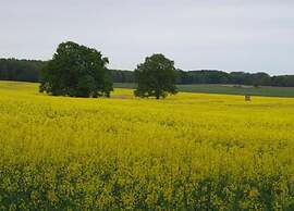 Appartement mit Fantastischer Aussicht