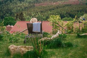 Ferienhaus in Schierke mit Garten